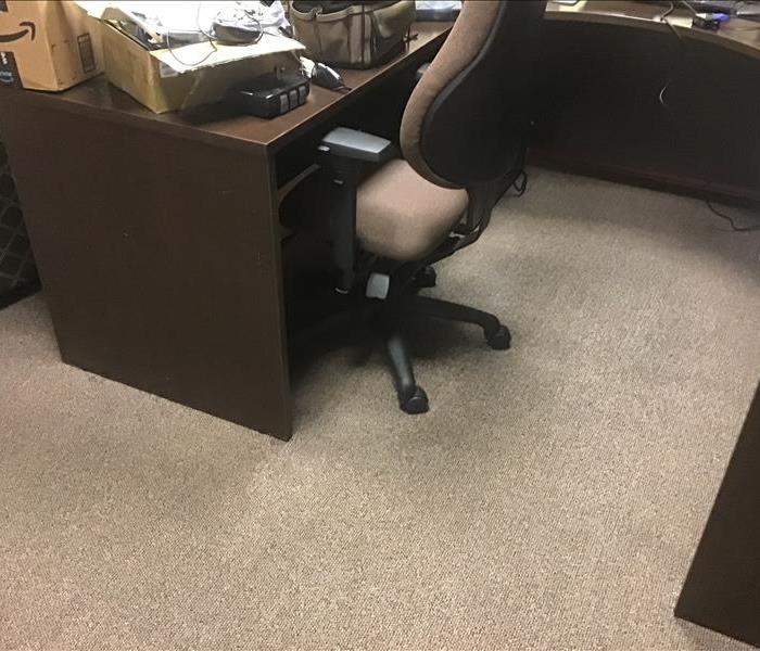 No Standing Water in office Carpet after Water Extraction